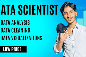 do data analysis, cleaning, visualizations with python