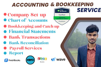 professional  quickbooks, and xero accounting services online