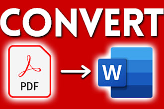 convert pdf to word, pdf to excel or data entry in 24 hours