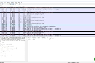 do wireshark analysis and cisco packet tracer