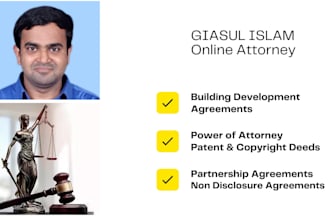 online legal consultant, attorney, solicitor
