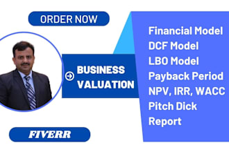 develop financial model, dcf model,  lbo model