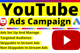 setup and manage youtube video ads campaign