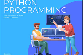 offer python  development and coding services