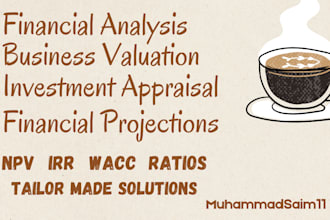 conduct financial analysis, valuation, and investment appraisal