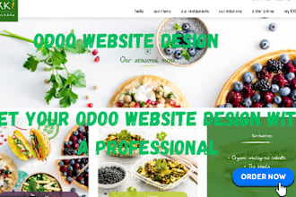 design odoo website odoo ecommerce website odoo customization v17 odoo migration