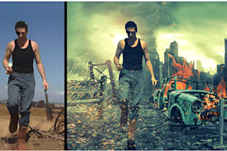 do manipulation professional photo