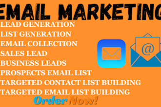 do email campaign generate niche targeted email list and lead with email blast