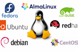 configure linux,cpanel,email,mysql,wordpress,migration,vps, server issues