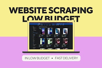do web scraping of any site, in low budget