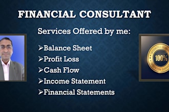 make financial forecasting, projection and budgeting
