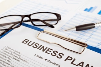 draft a business plan for your eb2niw case application