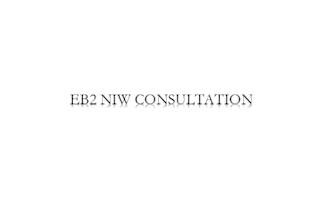 advise and suggest a strategy for your eb2 niw petition