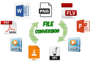 convert your files to avi, mp3 and more within an hour