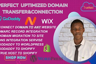 setup domain connection and transfer or migrate domain to your website