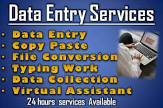 do excel data entry, data cleaning, PDF to excel data entry