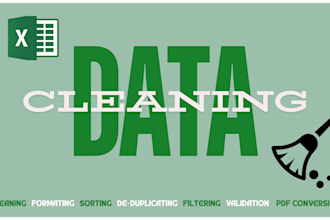 clean, format and organize your excel data as per your interest