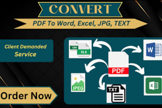 convert pdf to word pdf to excel or data entry in 24 hours