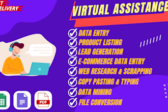 be your virtual assistant and perfect data entry expert