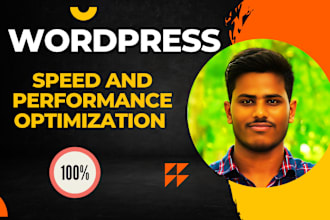 do speed performance optimization for wordpress website