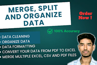 combine and organize data from excel, CSV, or PDF