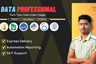 be your data analyst and dashboard builder