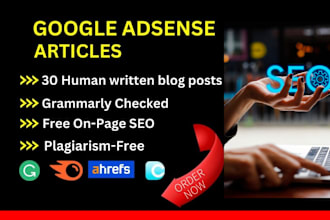 write unique SEO articles for google adsense approval