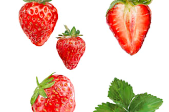 draw realistic ingredients for you and your products