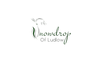 design best quality super gift shop logo