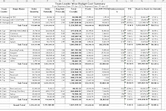 excel data cleaning and formatting, merging, splitting and analysis