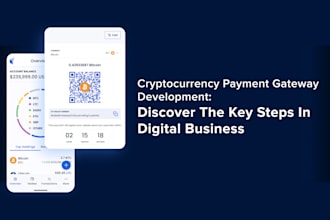 develop a payment gateway for crypto
