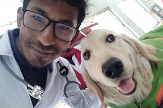do pet or dog food formulation as a certified veterinarian