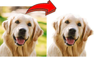 remove image background for any image, logo, photo, icon