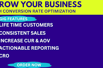 do a cro audit of your website to increase conversion and boost your website