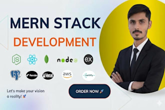 do custom website development, business website, frontend, full stack developer