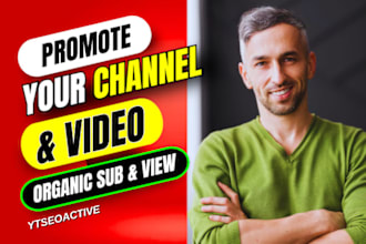 do USA youtube promotion USA channel video promotion to organic USA audience