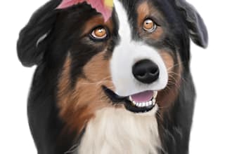 draw realistic animal illustrations digitally
