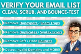 do email verification and email list cleaning service