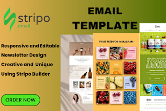 create responsive stripo HTML email newsletter template, canva newsletter design