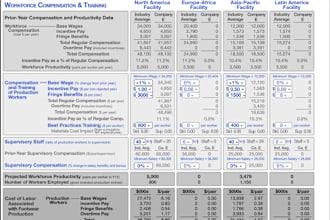 do bsg game,  capsim simulation, cesim, and other simulation rounds, reports