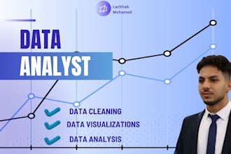do data cleaning visualizations analysis for you using different tools