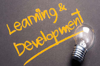 be your UK based cipd qualified learning and development director