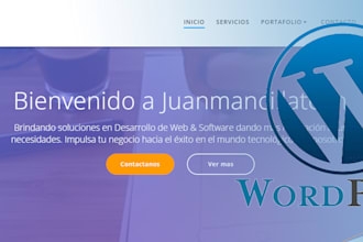 web developer with wordpress