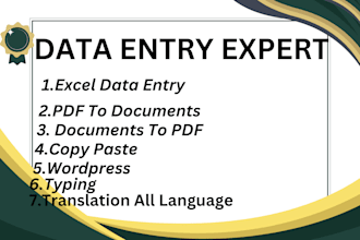 do excel data entry,copy paste,translation,pdf convert etc