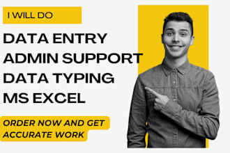 do data entry, copy paste, data input, excel, admin support