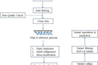 do genomics, bioinformatics, variant calling