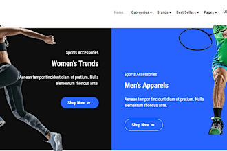 design shopify sport store ice skating store baseball glove batting helmet store