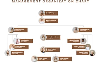 create org chart for companies done in visio , powerpoint and excel