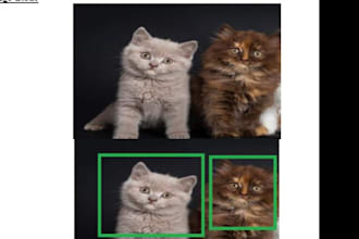 do object detection, preprocessing and bounding box
