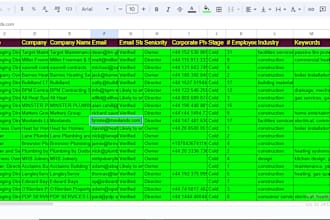 make data excel cleaning and format,remove duplicates,pdf to excel